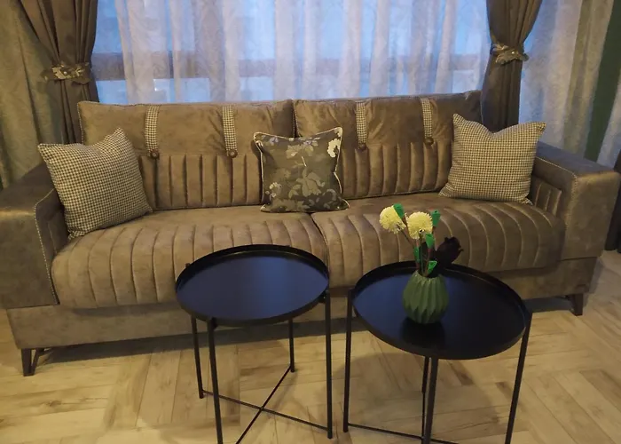 Bayview Todorov Daire